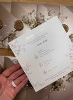 Gipsofilija - Slika 5