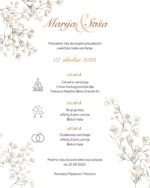 Gipsofilija - Slika 6