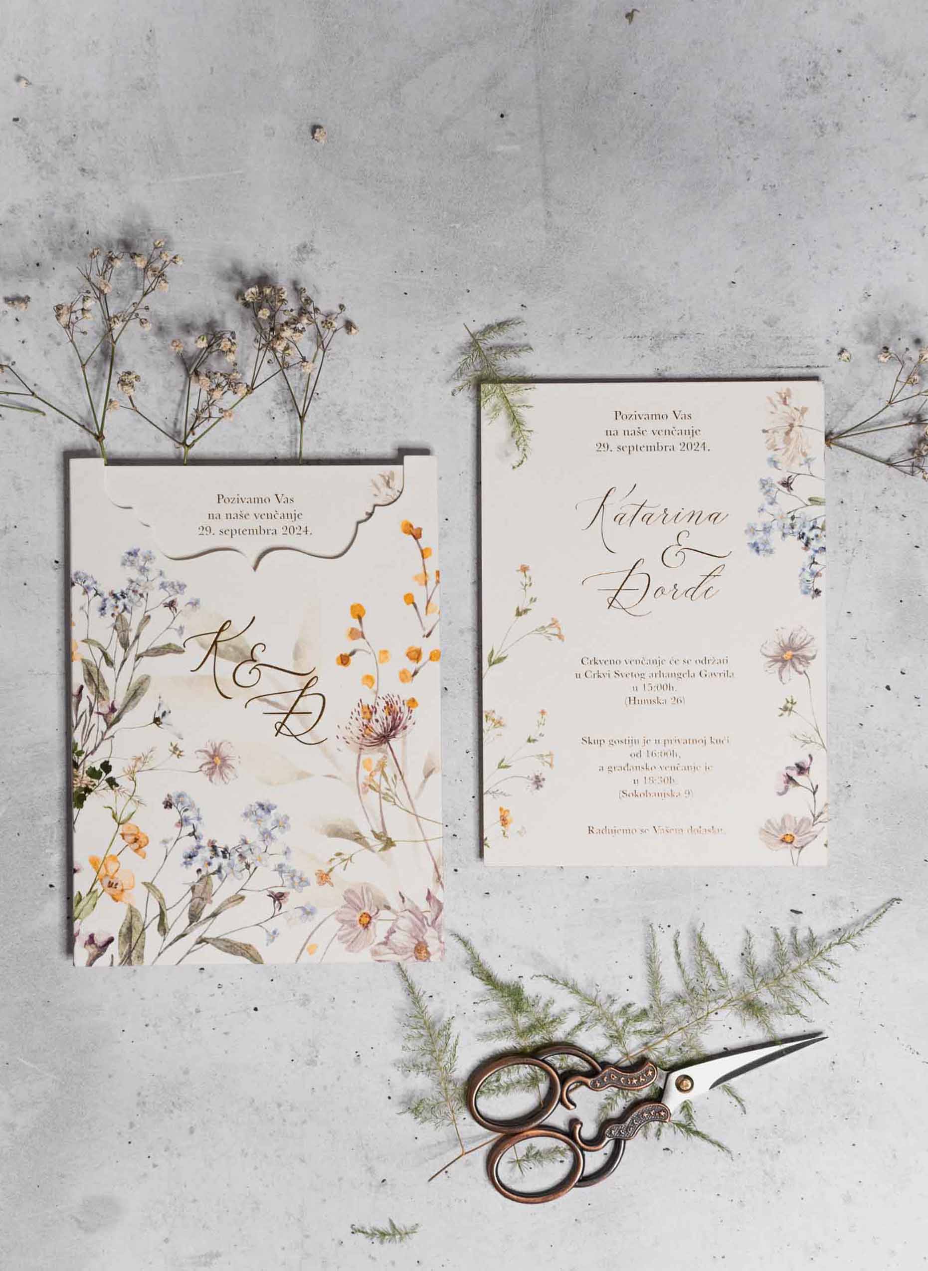 Viola naslovna sized Viola - Slika 1