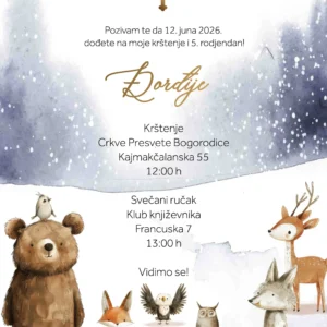 Snežni drugari