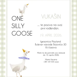 One Silly Goose
